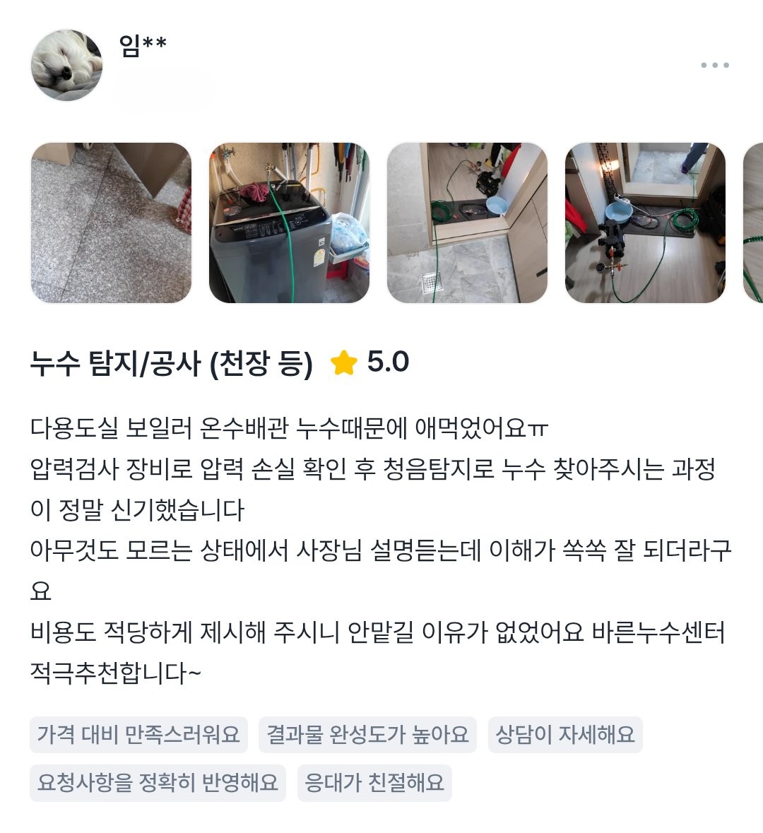 보일러 온수배관 누수 탐지 후기